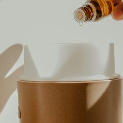 noon-naslovna-esencijalna-ulja